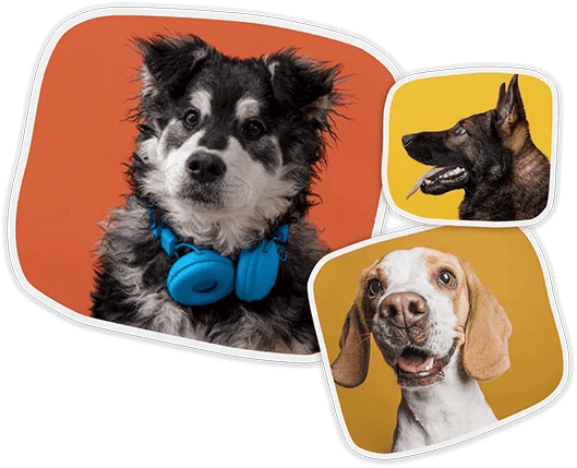 Nguyễn Văn Mẫn